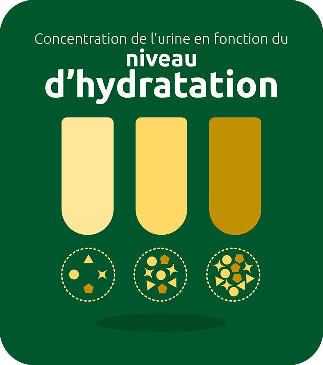 niveau d'hydratation