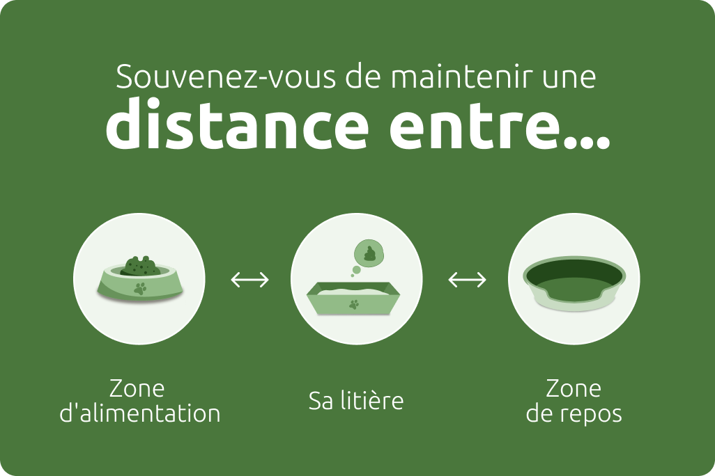 L’importance de garder ses distances