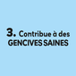 Contribue &agrave; des gencives saines