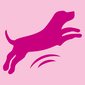 Pour un chien joyeux !