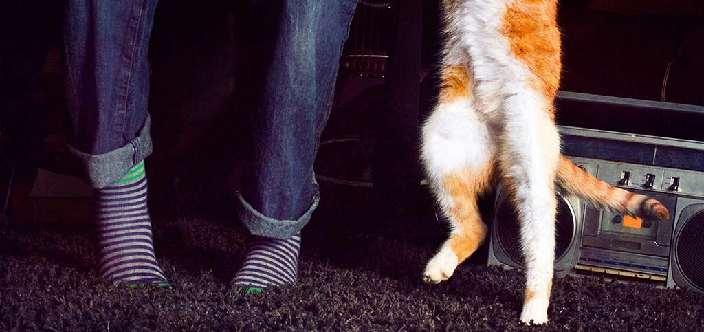 chien et personne qui danse