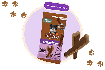 Landing snacks FR Sticks Desktop.png