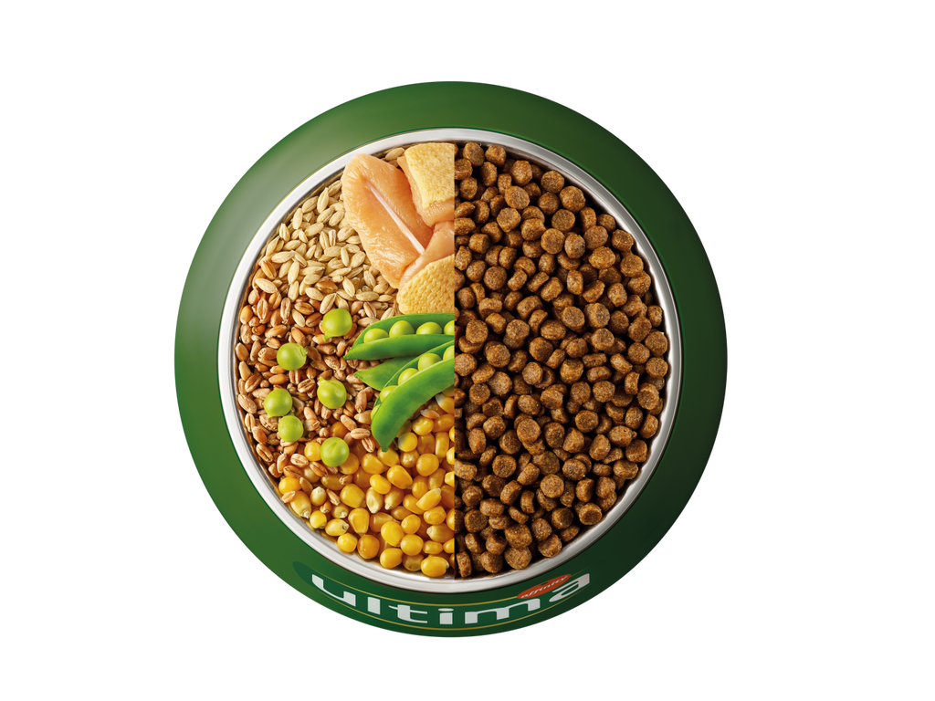 Poulet, orge, c&eacute;r&eacute;ales compl&egrave;tes et pois