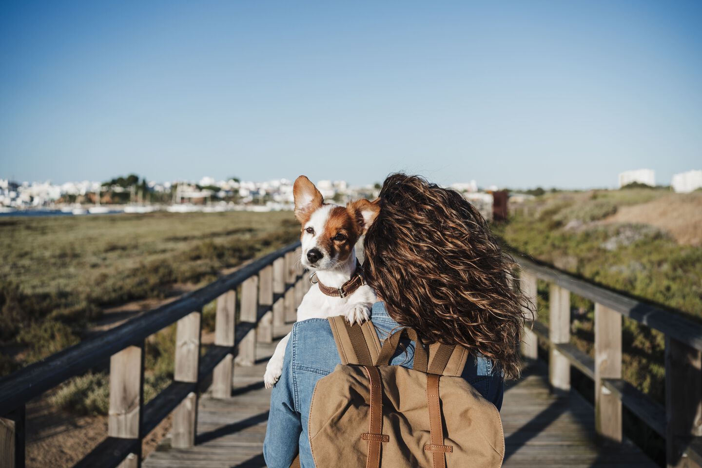 Une femme marche avec son chien dans ses bras