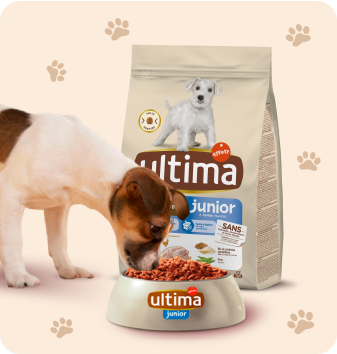 Croquettes pour chiots