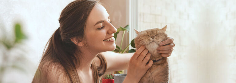 Premiers jours de cohabitation avec votre chat