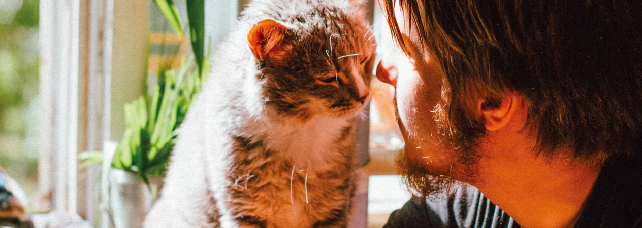 Comment le comportement des chats évolue-t-il en fonction des saisons ?