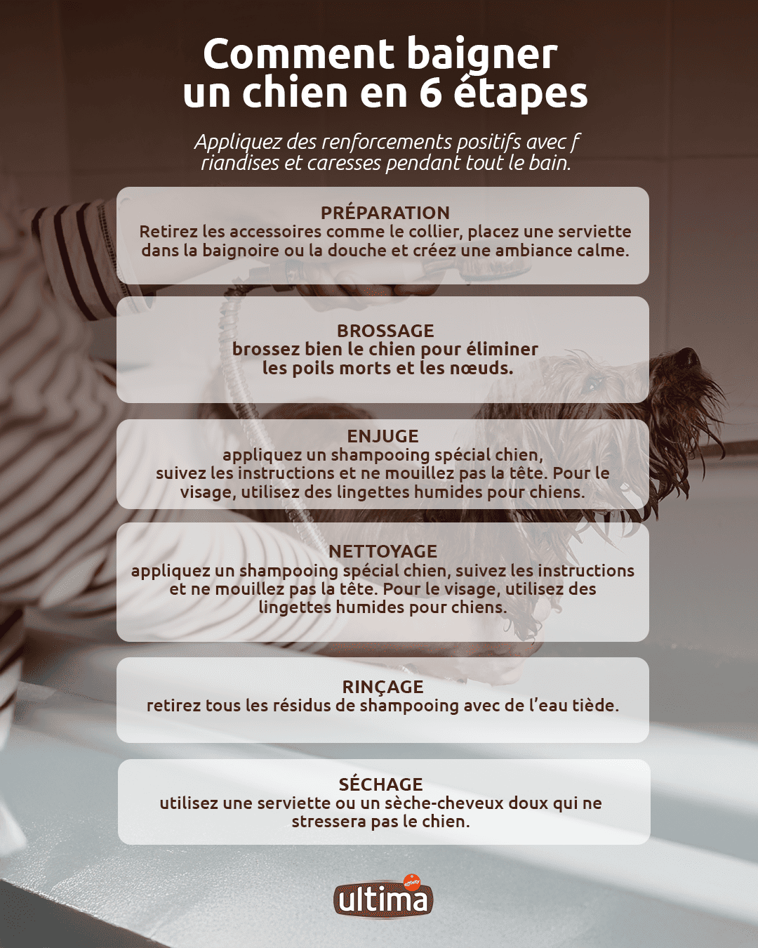 Infographie intitul&eacute;e &laquo; Comment baigner un chien en 6 &eacute;tapes &raquo;. Texte : 1.	Pr&eacute;paration : retirez les accessoires comme le collier, placez une serviette dans la baignoire ou la douche et cr&eacute;ez une ambiance calme. 2.	Brossage : brossez bien le chien pour &eacute;liminer les poils morts et les n&oelig;uds. 3.	Enjuge : utilisez de l&rsquo;eau ti&egrave;de sans mouiller le visage. 4.	Nettoyage : appliquez un shampooing sp&eacute;cial chien, suivez les instructions et ne mouillez pas la t&ecirc;te. Pour le visage, utilisez des lingettes humides pour chiens. 5.	Rin&ccedil;age : retirez tous les r&eacute;sidus de shampooing avec de l&rsquo;eau ti&egrave;de. 6.	S&eacute;chage : utilisez une serviette ou un s&egrave;che-cheveux doux qui ne stressera pas le chien. Accompagnement : &laquo; Appliquez des renforcements positifs avec friandises et caresses pendant tout le bain. &raquo;