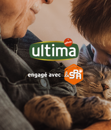 Image Link For Ultima engagé avec la SPA, en faveur du bien-être animal