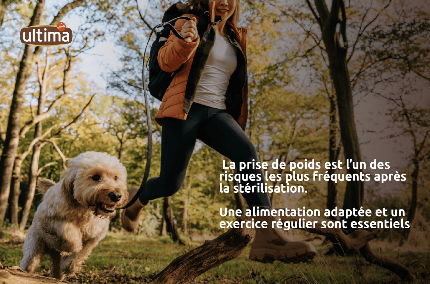 Image d&rsquo;un chien avec les oreilles dress&eacute;es dans un champ. Texte : &laquo; La prise de poids est l&rsquo;un des risques les plus fr&eacute;quents apr&egrave;s la st&eacute;rilisation. Une alimentation adapt&eacute;e et un exercice r&eacute;gulier sont essentiels.
