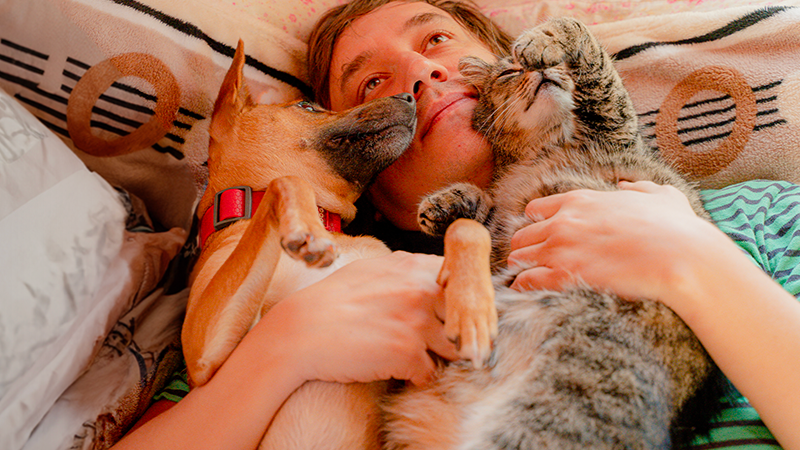 ART Banner Beneficios convivencia perros y gatos.png