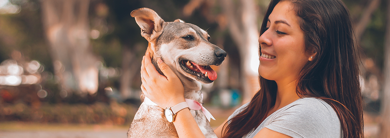 À quoi s'attendre quand on adopte un chien adulte ?