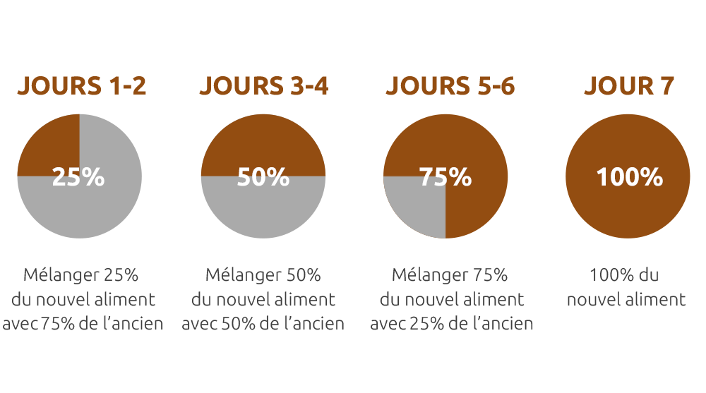 graphique décrivant comment réinsérer de la nourriture dans un chien