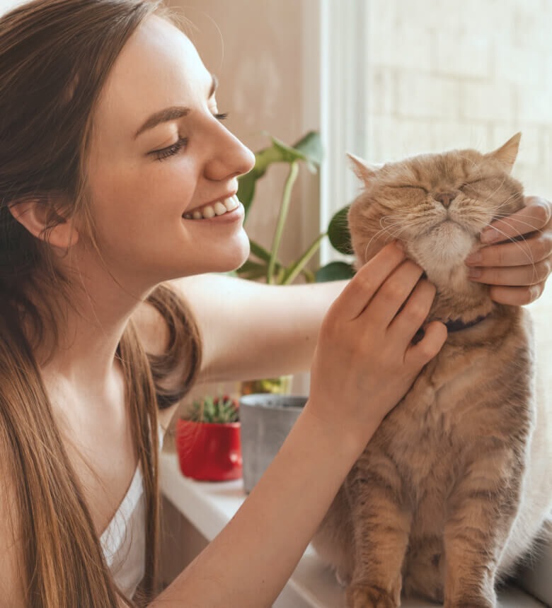 Image Link For Cohabitation : premiers jours avec un chat