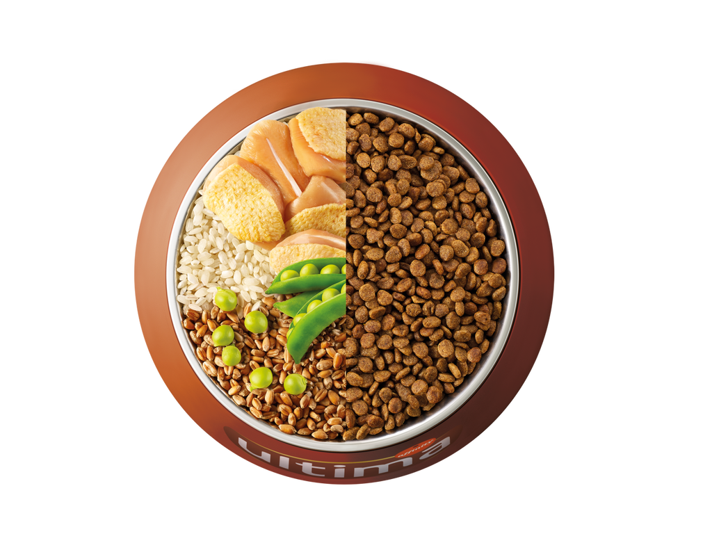 Poulet, riz, c&eacute;r&eacute;ales compl&egrave;tes et pois