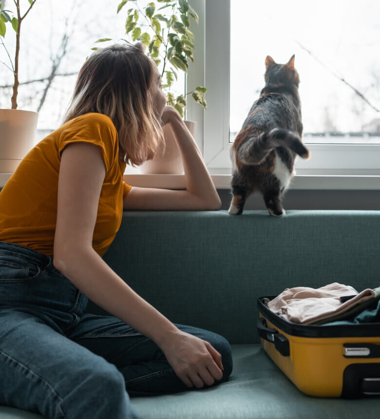 Image Link For Que faire de son chat en vacances ?