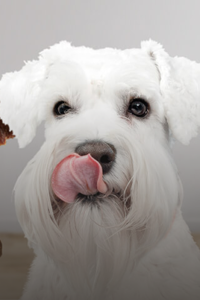 Landing snacks Hero Desktop.png