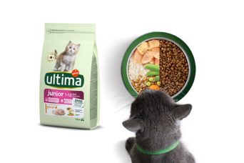 Ultima Junior pour chatons