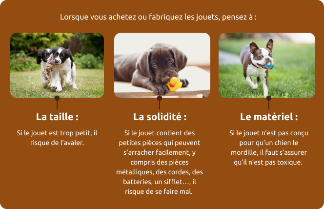 guide d'achat de jouets