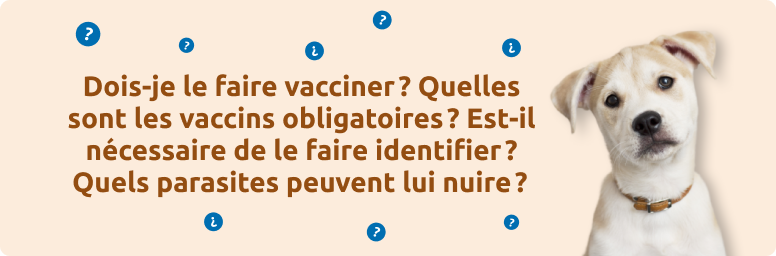 Des doutes sur les vaccins