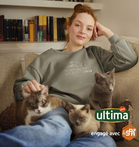 Banner shop ultima FR desktop.jpg