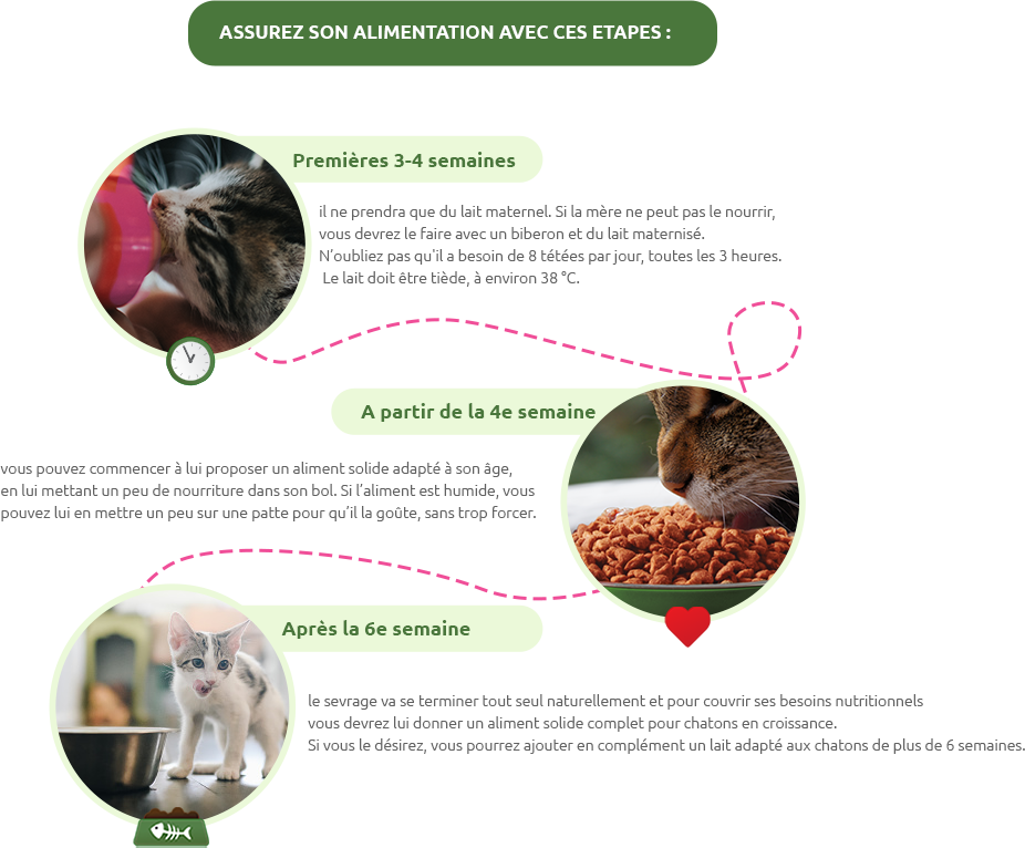 Sécurisez votre alimentation avec ces étapes