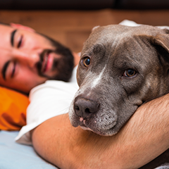 Image Link For Va bene dormire con il cane?