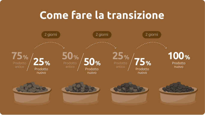 Transizione alimentare per cani