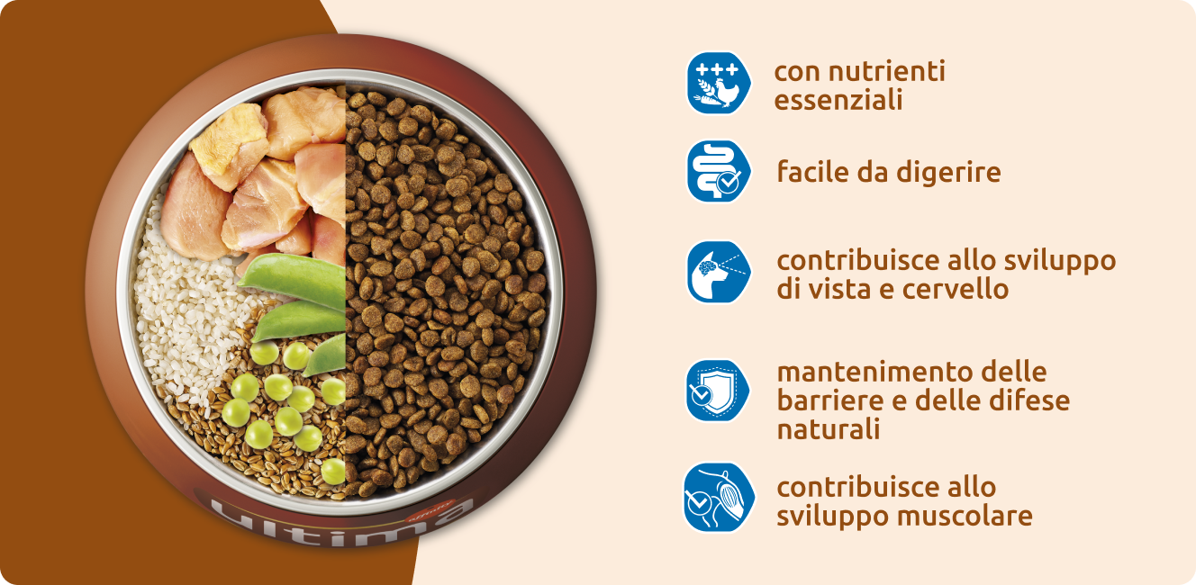 caratteristiche di Ultima Junior