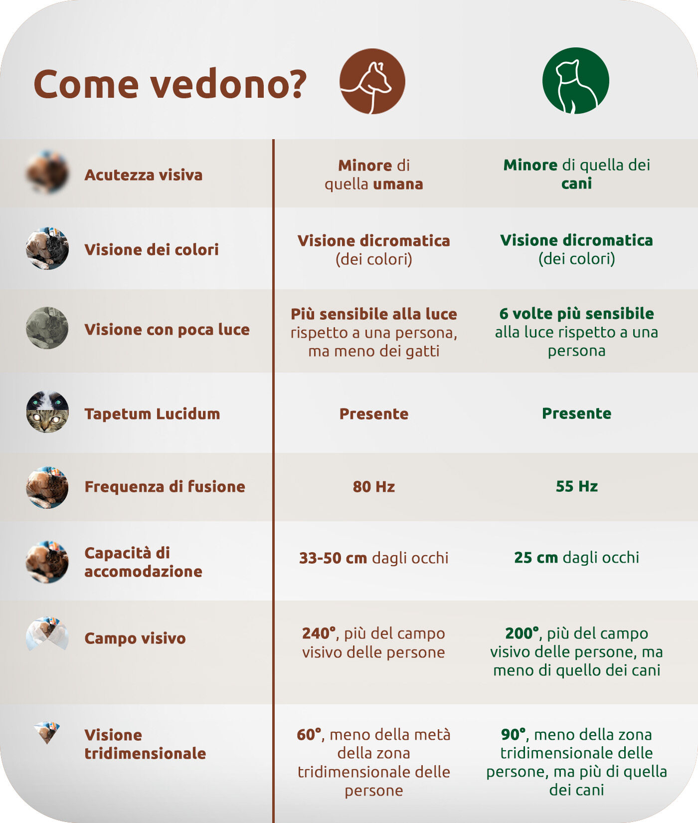Come potete vedere?