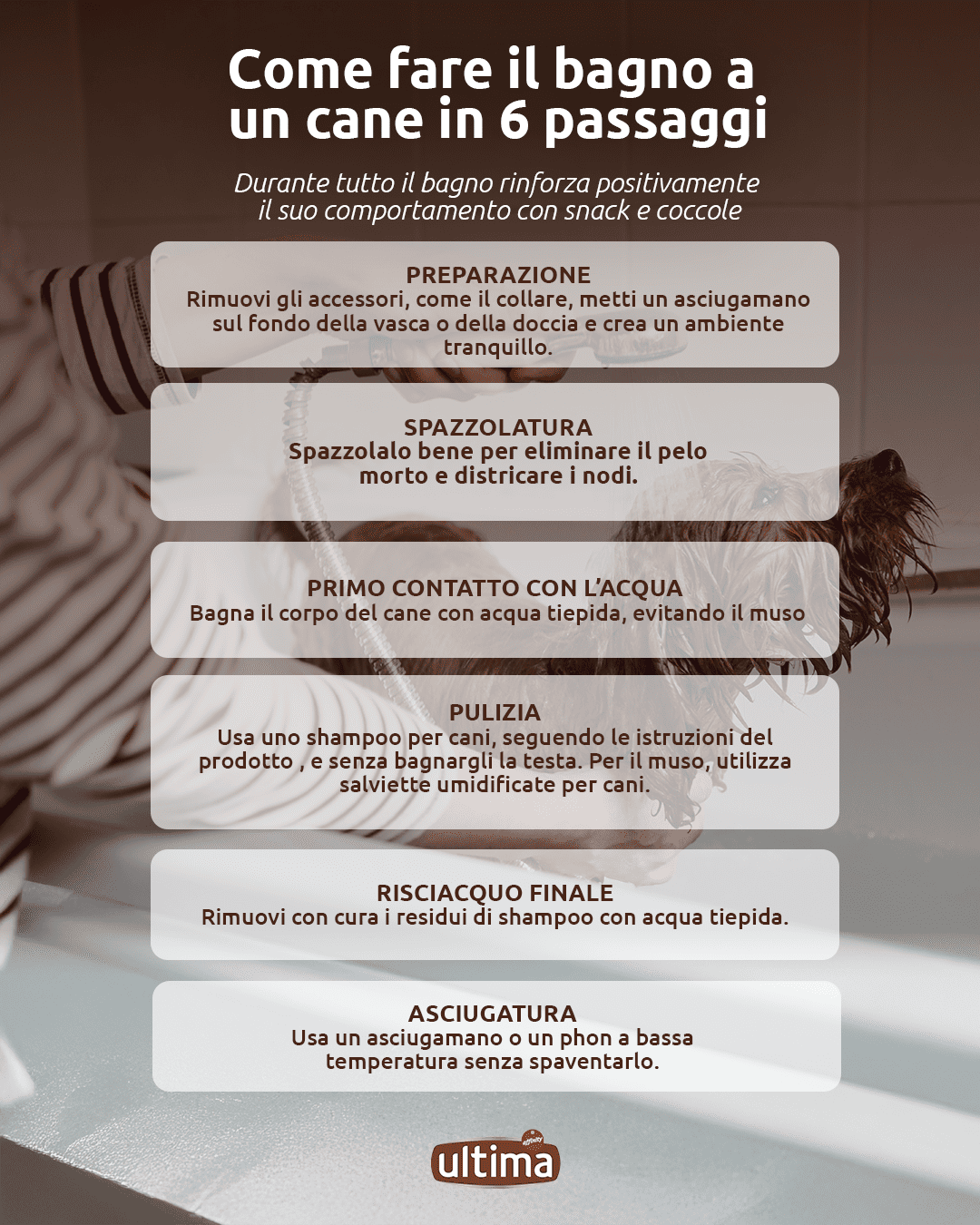 Infografica intitolata &ldquo;Come fare il bagno a un cane in 6 passaggi&rdquo;. Testo: 1.	Preparazione: Rimuovi gli accessori, come il collare, metti un asciugamano sul fondo della vasca o della doccia e crea un ambiente tranquillo. 2.	Spazzolatura: Spazzolalo bene per eliminare il pelo morto e districare i nodi. 3.	Primo contatto con l&rsquo;acqua: Bagna il corpo del cane con acqua tiepida, evitando il muso. 4.	Pulizia: Usa uno shampoo per cani, seguendo le istruzioni del prodotto  e senza bagnargli la testa. Per il muso, utilizza salviette umidificate per cani. 5.	Risciacquo finale: Rimuovi con cura i residui di shampoo con acqua tiepida. 6.	Asciugatura: Usa un asciugamano o un phon a bassa temperatura senza spaventarlo. Nota: &ldquo;Durante tutto il bagno rinforza positivamente il suo comportamento con snack e coccole&rdquo;.