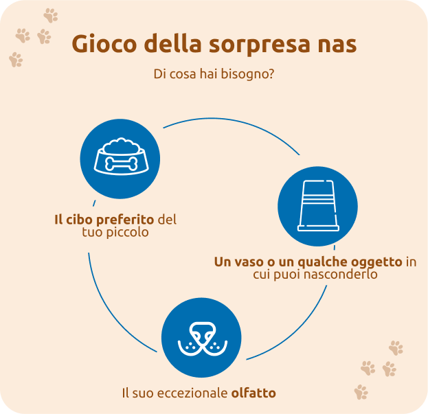 Gioco della sorpresa nascosta