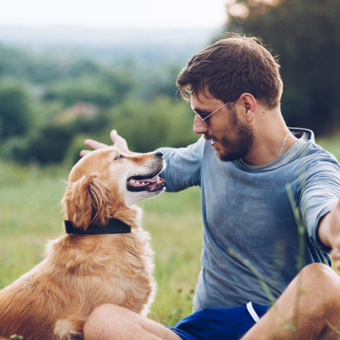 Image Link For Il passaggio da cucciolo a cane adulto