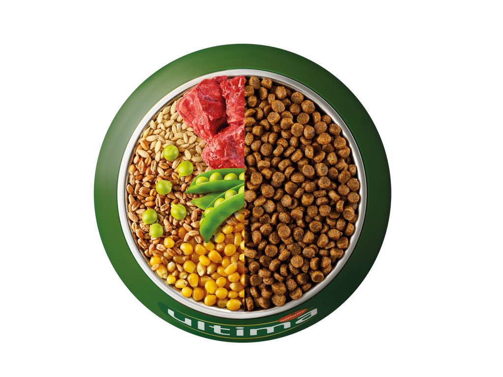 Manzo, orzo, frumento integrale e piselli