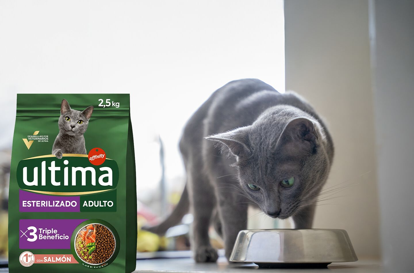 Gatto che mangia ultima adulto sterilizzato