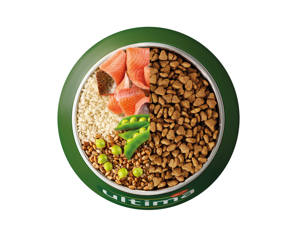 Trota, riso, cereali integrali e piselli