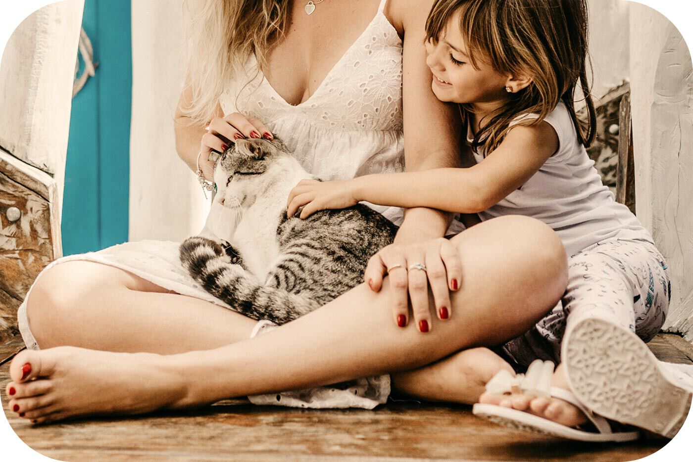 Le fusa dei gatti hanno qualche beneficio sulle persone?