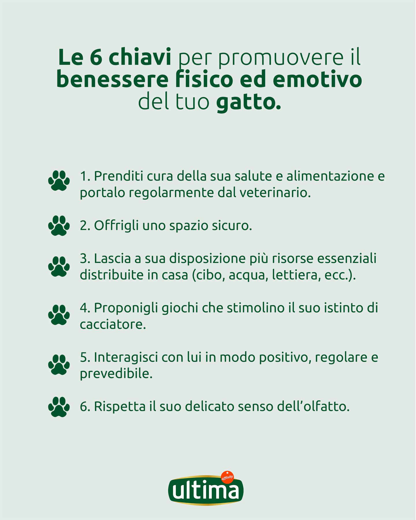 6 chiavi per promuovere il benessere del tuo gatto