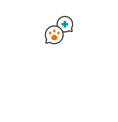 VetChat Header desktop v2.gif
