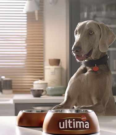 Perro med-max header desktop.png