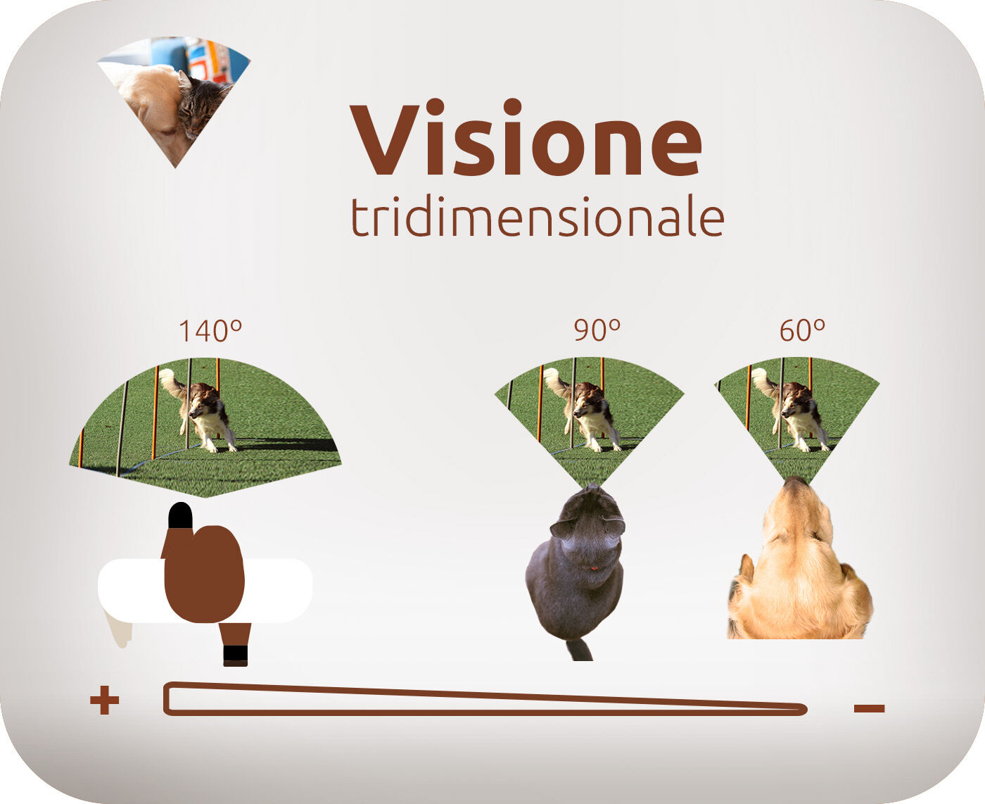 Visione tridimensionale
