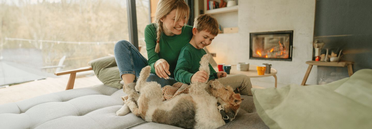 Raccomandazioni per giocare con il tuo cane
