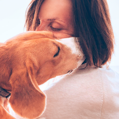 Image Link For Il linguaggio dei cani: come capirli in ogni situazione