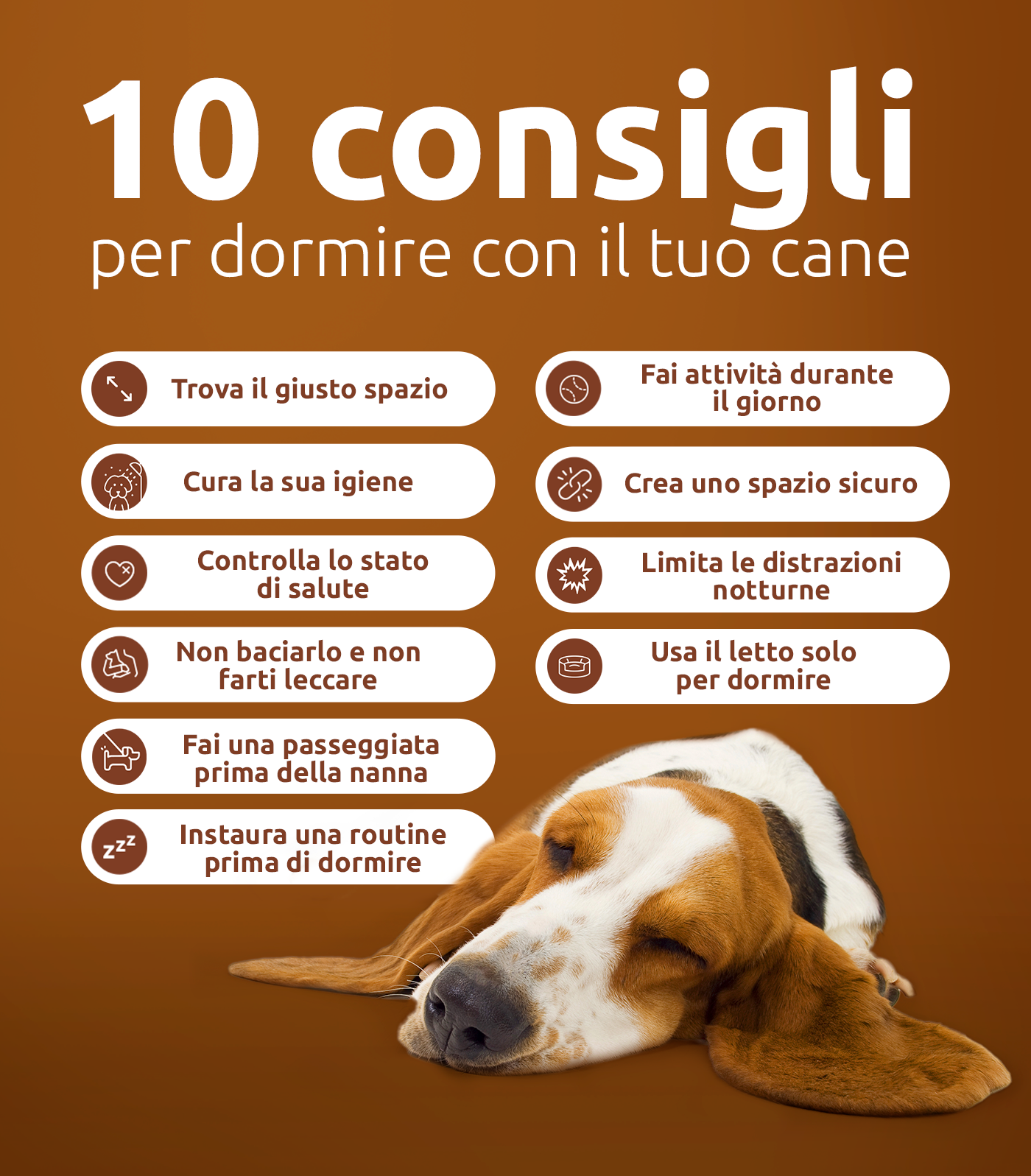 Consigli per dormire con il tuo cane