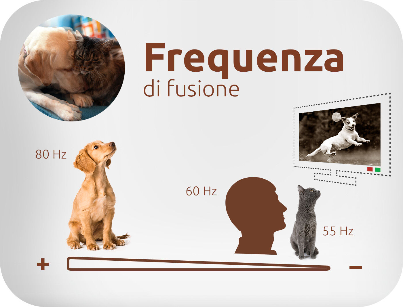 Frequenza di fusione