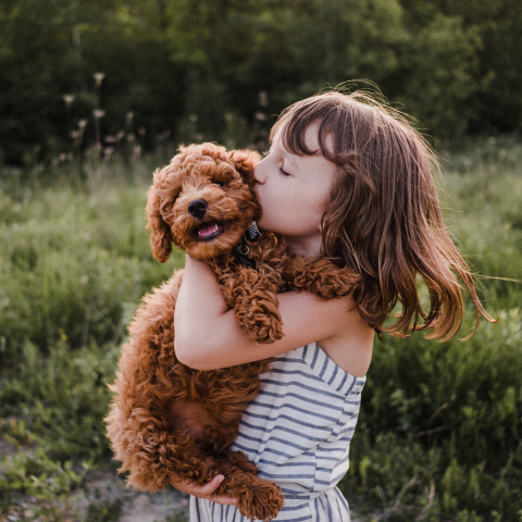 Image Link For Come far socializzare il tuo cucciolo: chiavi