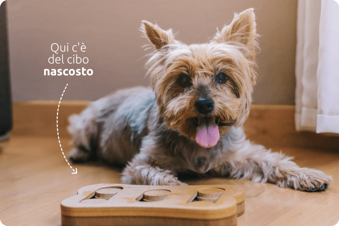 Giochi interattivi per cani