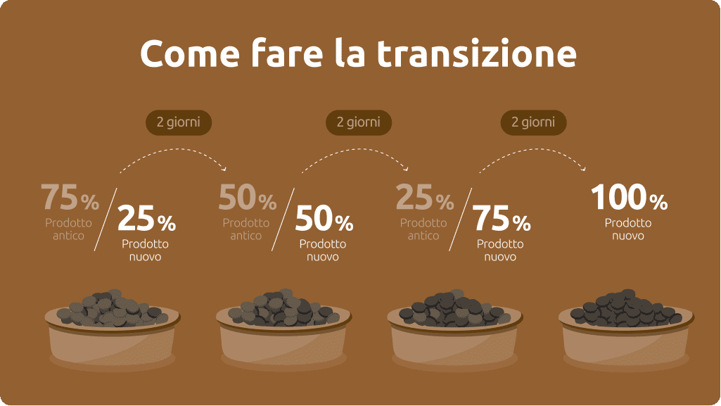 Transizione alimentare per cani