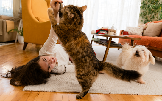 Pet parent gioca con il suo gatto e il suo cane