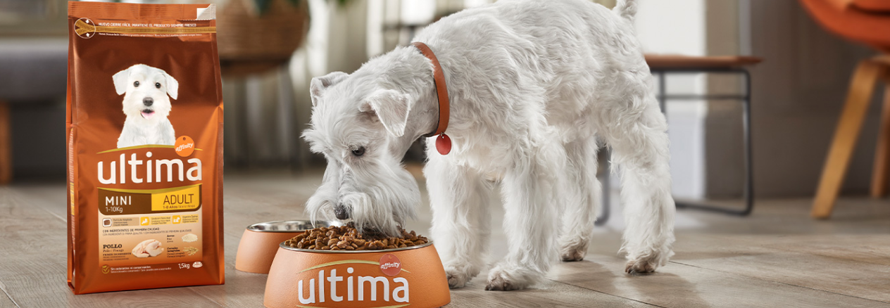 Image Link For Differenze tra prebiotici e probiotici per cani